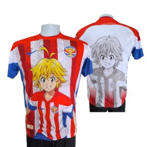 Remera Zoom Color — RZC013
